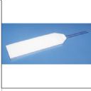 White Backlight  Displays